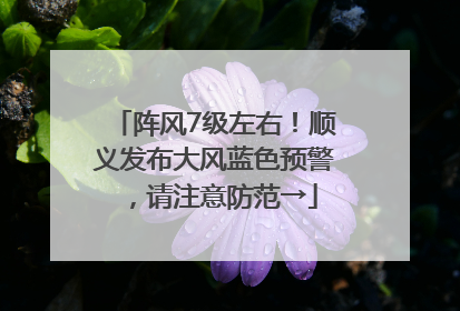 阵风7级左右！顺义发布大风蓝色预警，请注意防范→