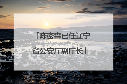 陈密森已任辽宁省公安厅副厅长