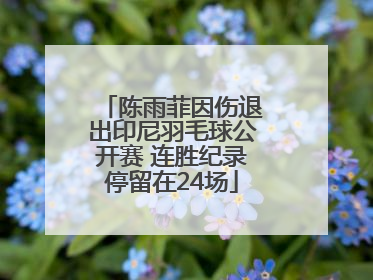 陈雨菲因伤退出印尼羽毛球公开赛 连胜纪录停留在24场