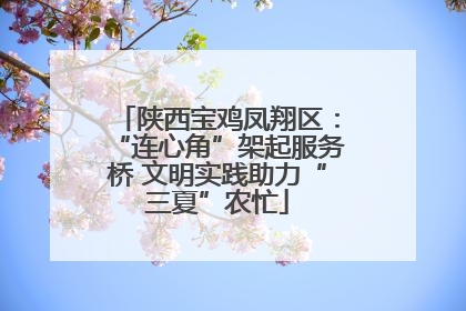 陕西宝鸡凤翔区：“连心角”架起服务桥 文明实践助力“三夏”农忙