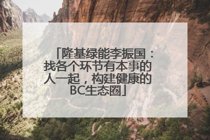 隆基绿能李振国：找各个环节有本事的人一起，构建健康的BC生态圈