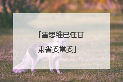 雷思维已任甘肃省委常委