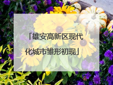 雄安高新区现代化城市雏形初现
