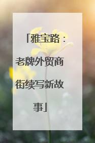雅宝路：老牌外贸商街续写新故事
