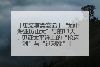 集装箱漂流记丨“地中海亚历山大”号的13天，见证太平洋上的“抢运潮”与“过剩潮”