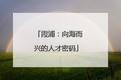 霞浦：向海而兴的人才密码