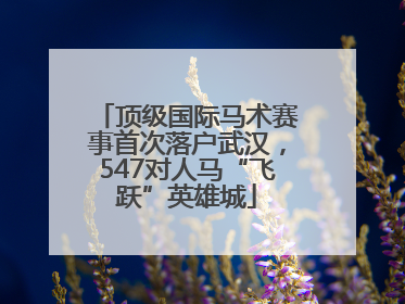 顶级国际马术赛事首次落户武汉，547对人马“飞跃”英雄城