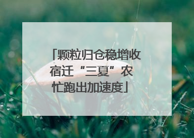 颗粒归仓稳增收 宿迁“三夏”农忙跑出加速度