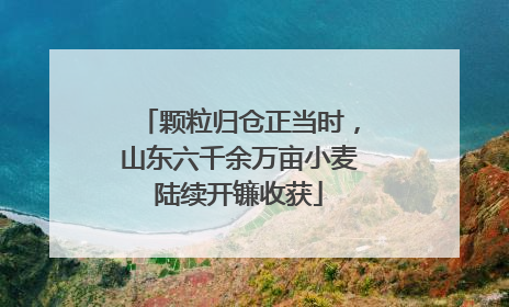 颗粒归仓正当时，山东六千余万亩小麦陆续开镰收获