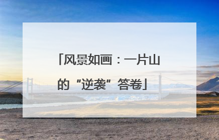 风景如画：一片山的“逆袭”答卷