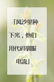 风沙里种下光，他们用代码驯服电流