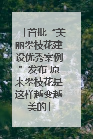 首批“美丽攀枝花建设优秀案例”发布 原来攀枝花是这样越变越美的