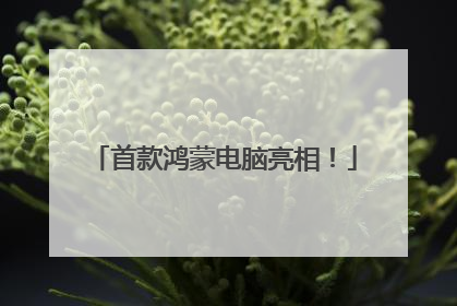 首款鸿蒙电脑亮相！