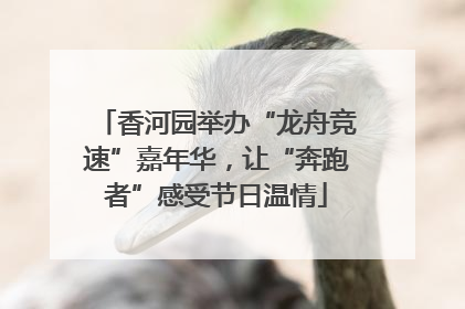 香河园举办“龙舟竞速”嘉年华，让“奔跑者”感受节日温情