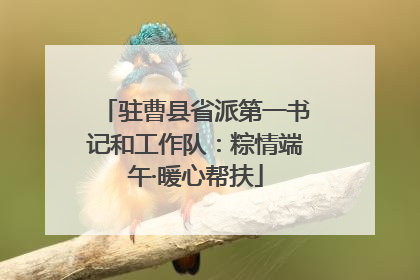 驻曹县省派第一书记和工作队：粽情端午·暖心帮扶