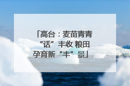 高台：麦苗青青“话”丰收 粮田孕育新“丰”景