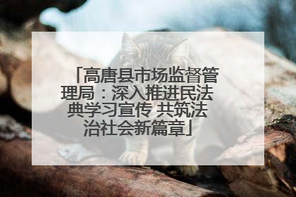 高唐县市场监督管理局：深入推进民法典学习宣传 共筑法治社会新篇章