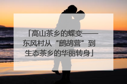 高山茶乡的蝶变——东风村从“鹧鸪营”到生态茶乡的华丽转身