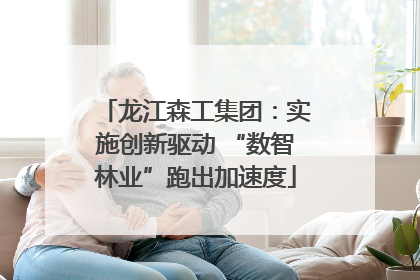 龙江森工集团：实施创新驱动 “数智林业”跑出加速度