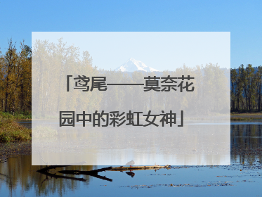 鸢尾——莫奈花园中的彩虹女神