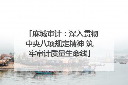 麻城审计：深入贯彻中央八项规定精神 筑牢审计质量生命线