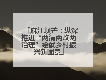 麻江坝芒：纵深推进“两清两改两治理”绘就乡村振兴新图景