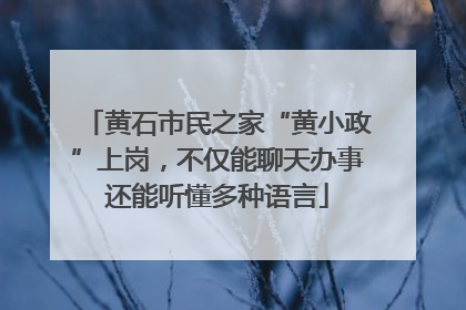 黄石市民之家“黄小政”上岗，不仅能聊天办事还能听懂多种语言