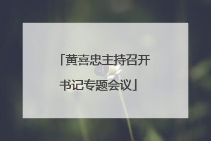 黄喜忠主持召开书记专题会议