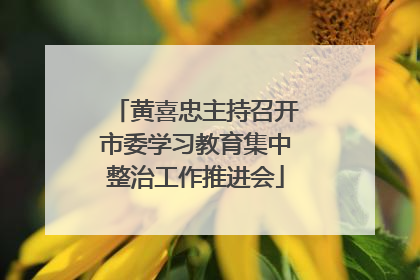 黄喜忠主持召开市委学习教育集中整治工作推进会