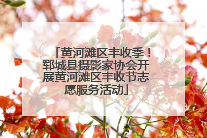 黄河滩区丰收季！郓城县摄影家协会开展黄河滩区丰收节志愿服务活动