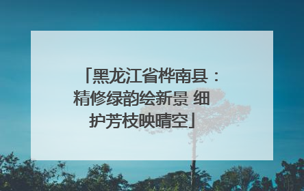 黑龙江省桦南县：精修绿韵绘新景 细护芳枝映晴空