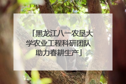 黑龙江八一农垦大学农业工程科研团队助力春耕生产