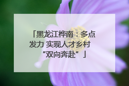 黑龙江桦南：多点发力 实现人才乡村“双向奔赴”