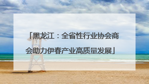 黑龙江：全省性行业协会商会助力伊春产业高质量发展