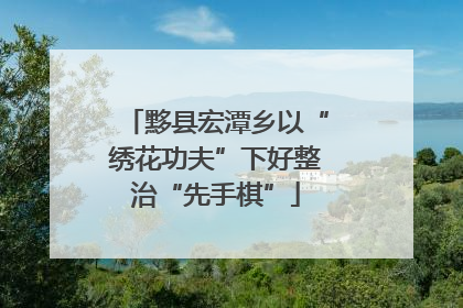 黟县宏潭乡以“绣花功夫”下好整治“先手棋”