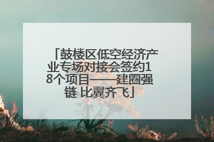 鼓楼区低空经济产业专场对接会签约18个项目——建圈强链 比翼齐飞