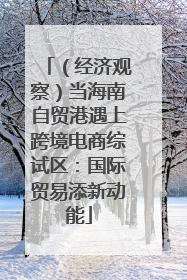 （经济观察）当海南自贸港遇上跨境电商综试区：国际贸易添新动能