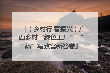 （乡村行·看振兴）广西乡村“绿色工厂” “蔬”写致富新答卷