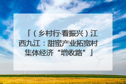 （乡村行·看振兴）江西九江：甜蜜产业拓宽村集体经济“增收路”