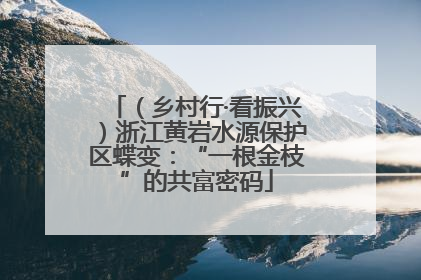 （乡村行·看振兴）浙江黄岩水源保护区蝶变：“一根金枝”的共富密码