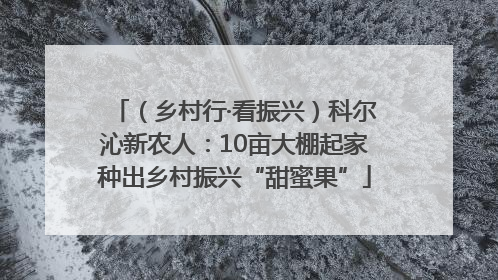 （乡村行·看振兴）科尔沁新农人：10亩大棚起家种出乡村振兴“甜蜜果”