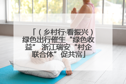 （乡村行·看振兴）绿色出行催生“绿色收益” 浙江瑞安“村企联合体”促共富