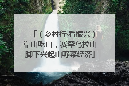 （乡村行·看振兴）靠山吃山，赛罕乌拉山脚下兴起山野菜经济