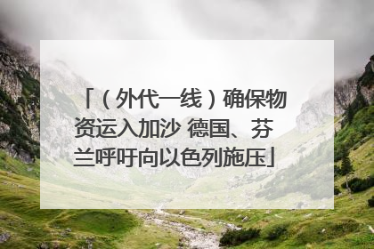 （外代一线）确保物资运入加沙 德国、芬兰呼吁向以色列施压
