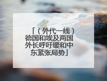 （外代一线）德国和埃及两国外长呼吁缓和中东紧张局势
