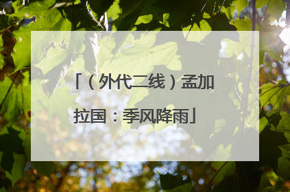 （外代二线）孟加拉国：季风降雨
