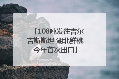 108吨发往吉尔吉斯斯坦 湖北鲜桃今年首次出口