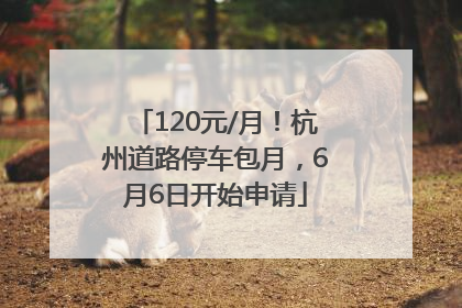 120元/月！杭州道路停车包月，6月6日开始申请