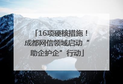 16项硬核措施！成都网信领域启动“助企护企”行动