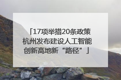 17项举措20条政策 杭州发布建设人工智能创新高地新“路径”